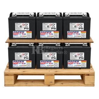 6 Bater�as TROJAN PACER P-875 | 8 Voltios 183 Amperios